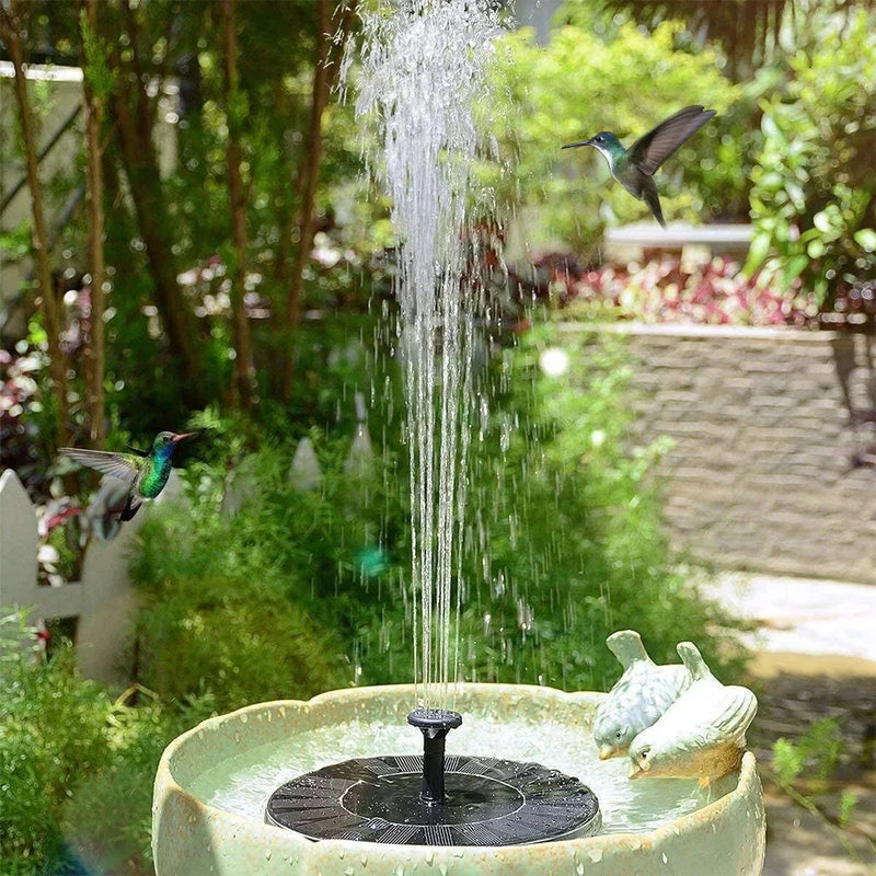 Sunny Garden Fountain Delight